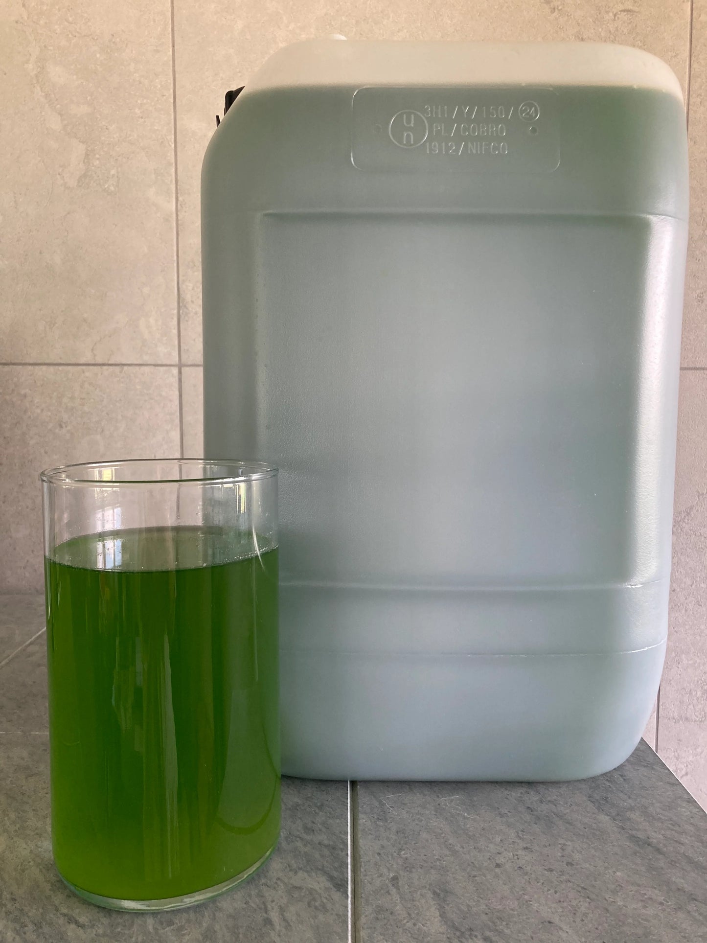 Dzīvā mikroaļģe Chlorella zivju dīķu un ūdenstilpju uzlabošanai