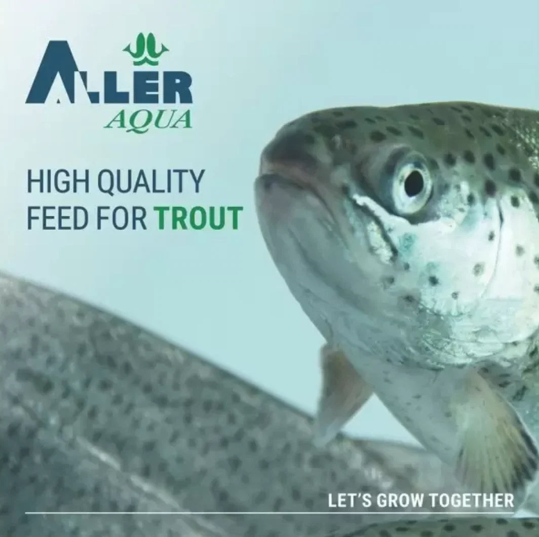 Aller Silver 4.5mm- 6mm, 3.5 kg